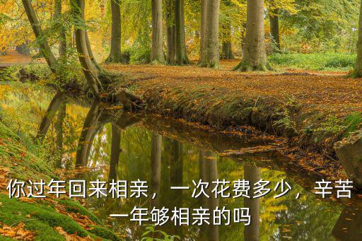 青島相親多少錢一次,你過年回來相親