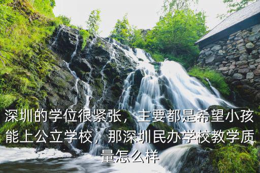 深圳宏智教育學校怎么樣,深圳的經濟發達眾所周知