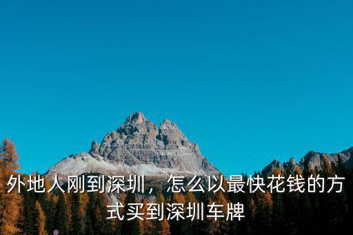 外地人剛到深圳，怎么以最快花錢的方式買到深圳車牌