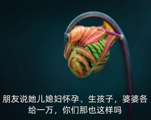 朋友說(shuō)她兒媳婦懷孕、生孩子，婆婆各給一萬(wàn)，你們那也這樣嗎