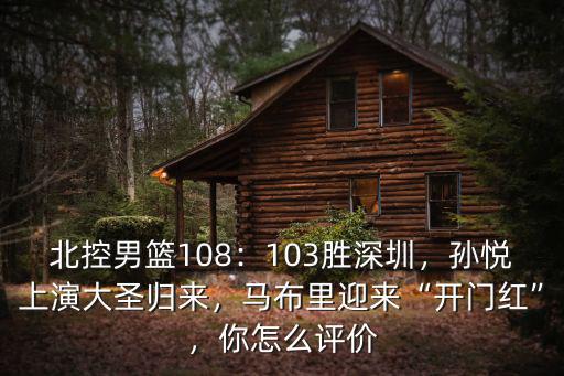 孫悅深圳哪里人,來了就是深圳人