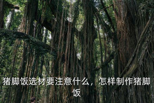 豬腳飯選材要注意什么，怎樣制作豬腳飯