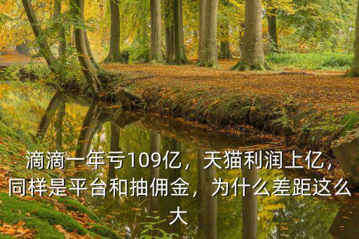 滴滴一年虧109億，天貓利潤上億，同樣是平臺和抽傭金，為什么差距這么大
