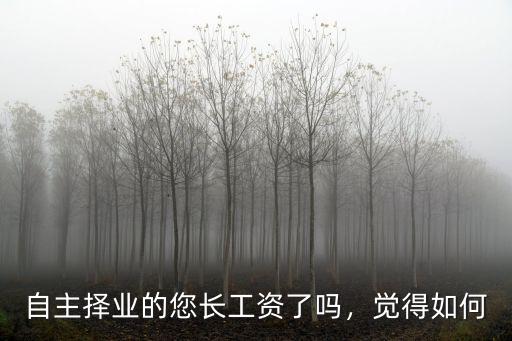 自主擇業(yè)的您長工資了嗎，覺得如何