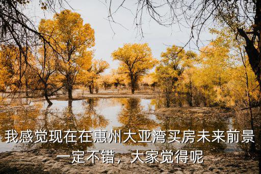 在惠州大亞灣買房怎么樣,惠州大亞灣怎么樣