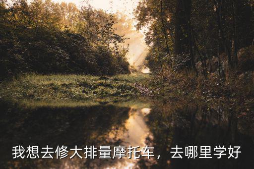 惠州哪里有修大排摩托車的,如今做摩托車修理的前景好嗎