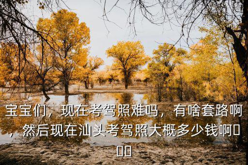 寶寶們，現在考駕照難嗎，有啥套路啊，然后現在汕頭考駕照大概多少錢啊???