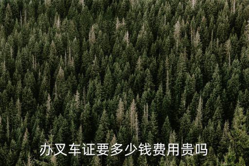 淄博叉車考證要多少錢,辦叉車證需要多少錢