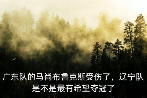 廣東隊的馬尚布魯克斯多少歲了,廣東隊的馬尚布魯克斯受傷了