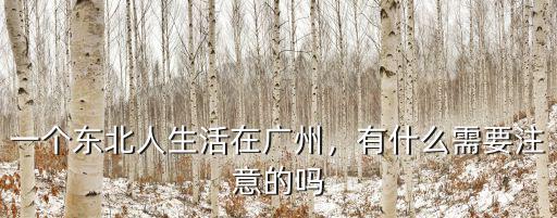 東北人在廣州過冬怎么樣,一個(gè)東北人生活在廣州