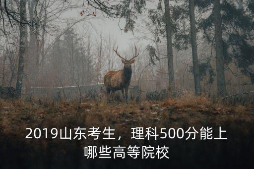 2019山東考生，理科500分能上哪些高等院校