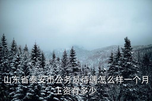 泰安市一年能考多少一本,高三努力一年一本可以嗎