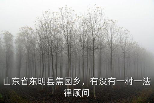 山東省東明縣有多少個(gè)村,山東省東明縣焦園鄉(xiāng)