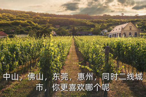 中山，佛山，東莞，惠州，同時二線城市，你更喜歡哪個呢