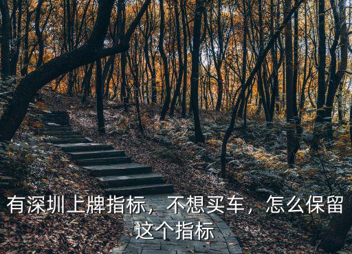 有深圳上牌指標，不想買車，怎么保留這個指標