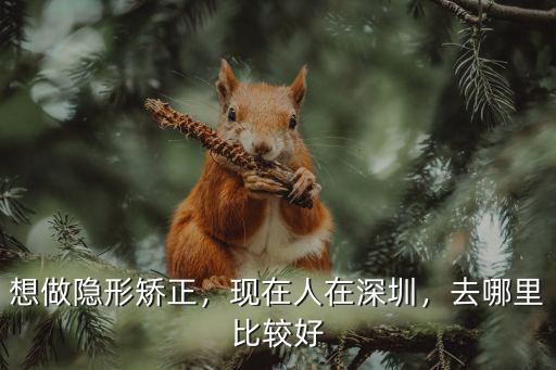 想做隱形矯正，現在人在深圳，去哪里比較好