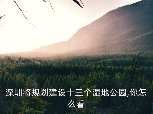 深圳將規劃建設十三個濕地公園,你怎么看