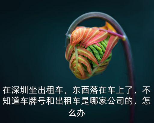 深圳哪里有洗出租車(chē),深圳出租車(chē)何去何從