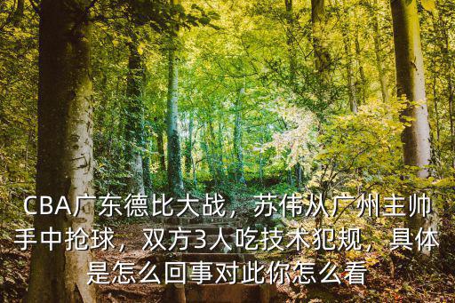 CBA廣東德比大戰(zhàn)，蘇偉從廣州主帥手中搶球，雙方3人吃技術(shù)犯規(guī)，具體是怎么回事對(duì)此你怎么看