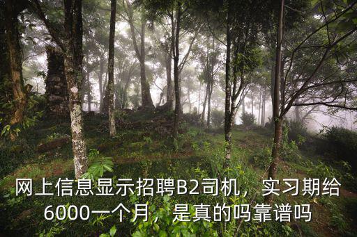 茂名哪里招聘長途B2司機,網上信息顯示招聘B2司機
