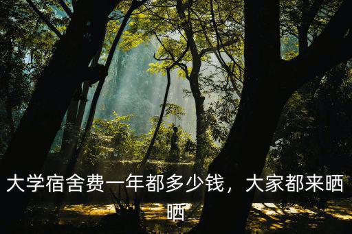 山東大學(xué)團(tuán)員費多少錢,第一學(xué)期需要多少錢