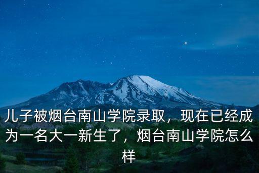 煙臺大學南山學院一年的學費是多少,煙臺南山學院怎么樣