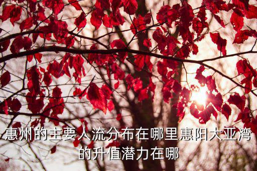 只在仁德惠州人流醫院在哪里,惠陽大亞灣的升值潛力在哪