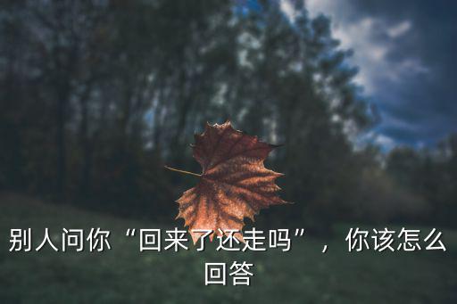 有人問去廣州了怎么回答,你該怎么回答