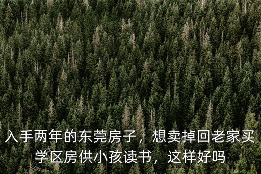 東莞哪里學校的房子好,東莞城區的學區房怎么選