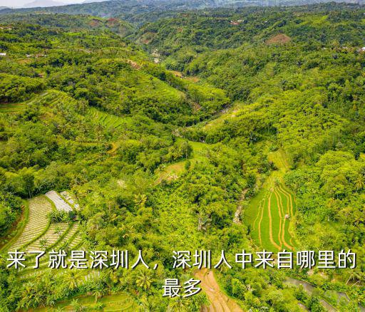 來(lái)了就是深圳人，深圳人中來(lái)自哪里的最多