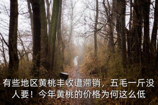 有些地區黃桃豐收遭滯銷，五毛一斤沒人要！今年黃桃的價格為何這么低