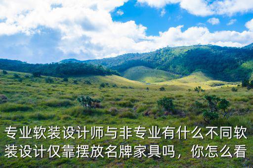 專業軟裝設計師與非專業有什么不同軟裝設計僅靠擺放名牌家具嗎，你怎么看