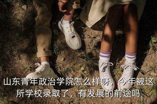 山東青年政治有多少畝,山東青年政治學院怎么樣呀