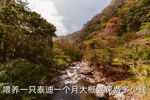 喂養(yǎng)一只泰迪一個(gè)月大概要花費(fèi)多少錢