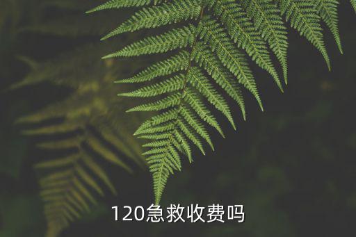 廣州市救護車怎么收費,120急救收費嗎