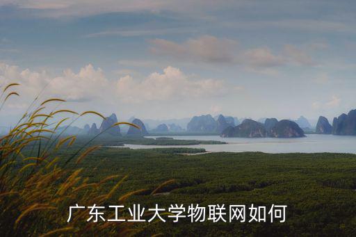 廣東工業大學物聯網如何