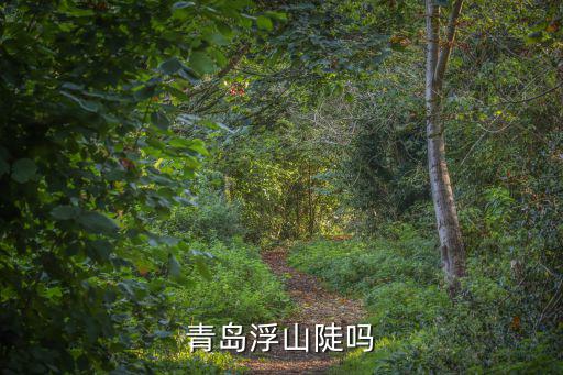 青島浮山有多少人,青島浮山后房價明年會跌嗎