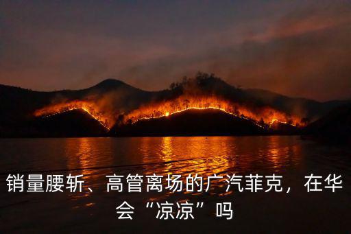廣汽菲克(東莞達隆景步店)怎么樣,廣汽菲克指揮官怎么樣