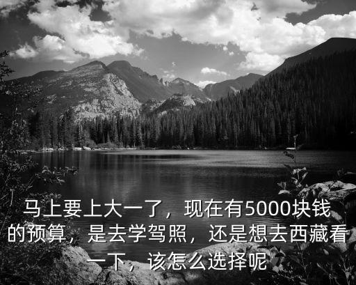 馬上要上大一了，現在有5000塊錢的預算，是去學駕照，還是想去西藏看一下，該怎么選擇呢