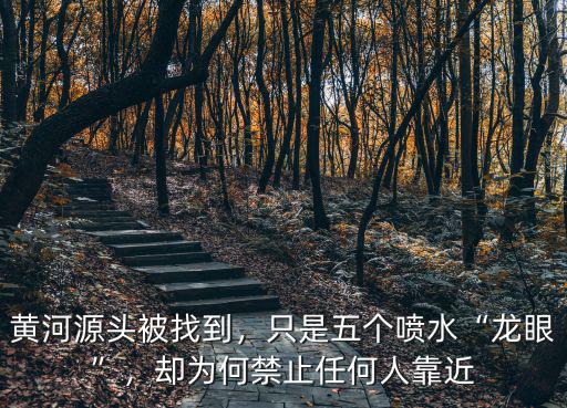 黃河源頭被找到，只是五個噴水“龍眼”，卻為何禁止任何人靠近
