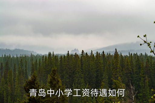 青島中小學工資待遇如何