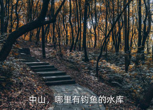 中山坦洲釣魚哪里好,哪里有釣魚的水庫