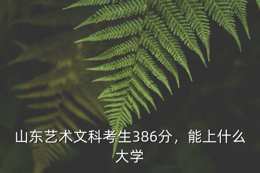 山東文科生上山東藝術學院多少分,山東藝術文科考生386分