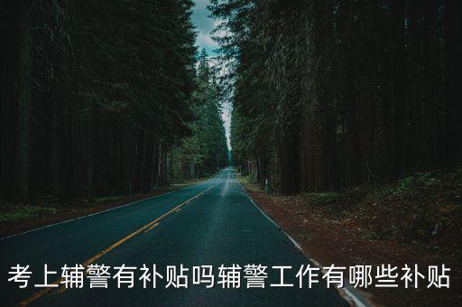 聊城輔警補貼多少錢,考上輔警有補貼嗎