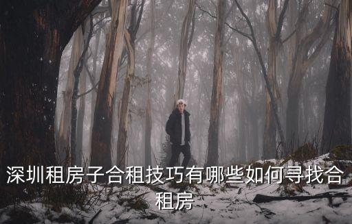 深圳一般哪里找合租,深圳租房子合租技巧有哪些