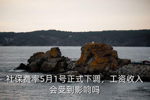 深圳社保5月1日降社保費(fèi)率是多少,社保費(fèi)率5月1號(hào)正式下調(diào)
