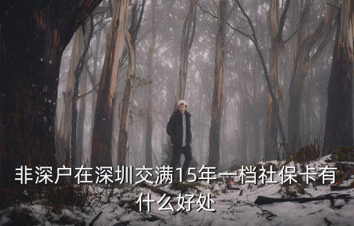 非深戶在深圳交滿15年一檔社保卡有什么好處