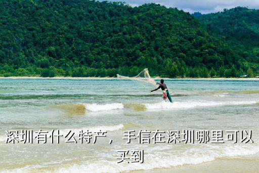 深圳有什么特產，手信在深圳哪里可以買到