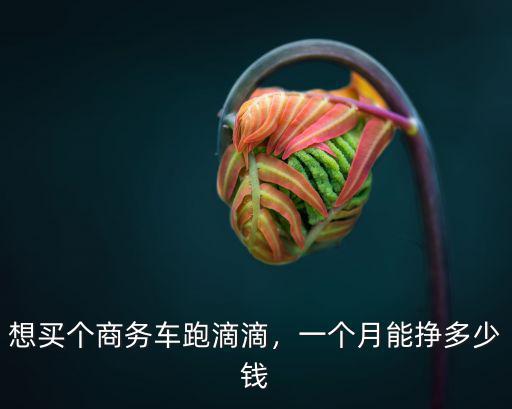 浙江義烏跑滴滴一個月多少錢,想買個商務車跑滴滴