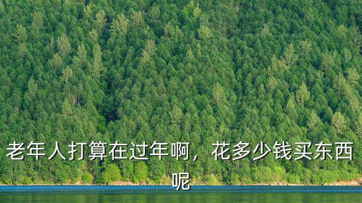老年人打算在過年啊，花多少錢買東西呢